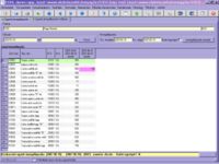Egyedi ármegállapodás táblázat képernyő
