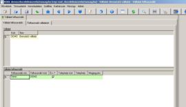 ROOL Bázis Start vállalat felhasználó