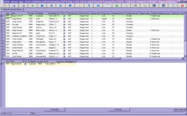 egyszerűsített partnertörzs munkafüzet