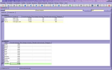 havi gyártási terv kitöltése