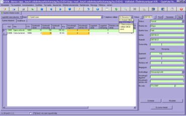 tulajdonos vállalathoz rögzített gyártási feladat