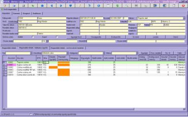 megrendelés táblázatos rögzítése