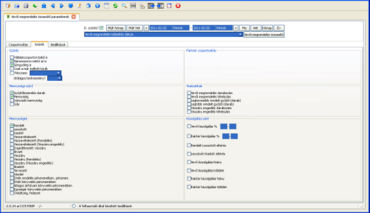 Vevői megrendelés összesítő paraméterek 2