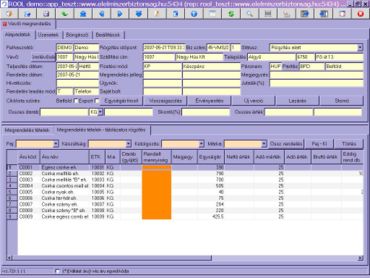megrendelés táblázatos rögzítése